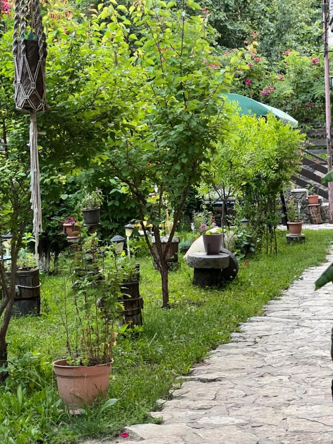 Artsiv Guesthouse Dilijan Eksteriør bilde