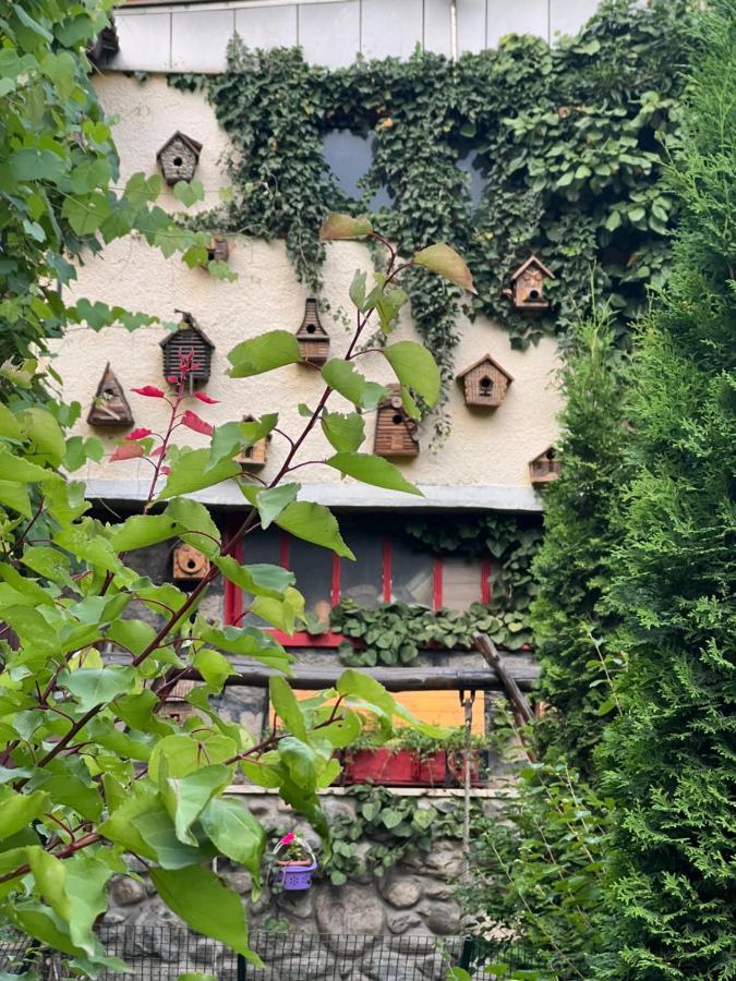 Artsiv Guesthouse Dilijan Eksteriør bilde